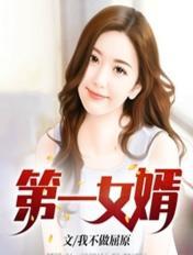 第一女婿免费阅读目录